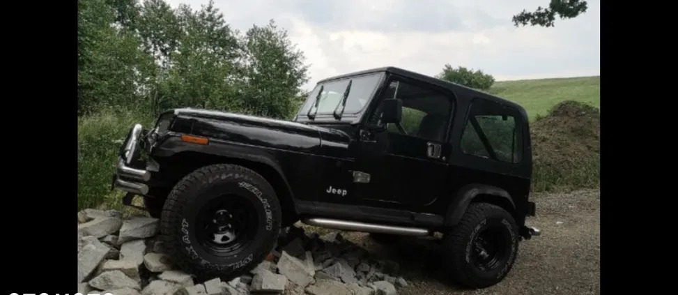 samochody osobowe Jeep Wrangler cena 49500 przebieg: 166000, rok produkcji 1991 z Góra